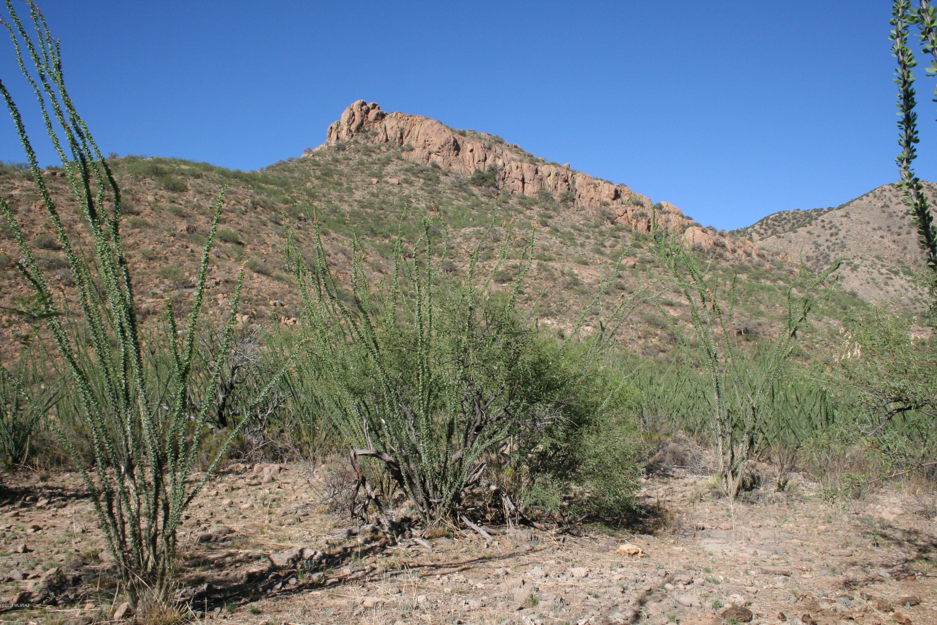 37 Copper Canyon Road, Unit 140 Rio Rico, AZ 85648 - Photo 13 of 17 IMG_9465