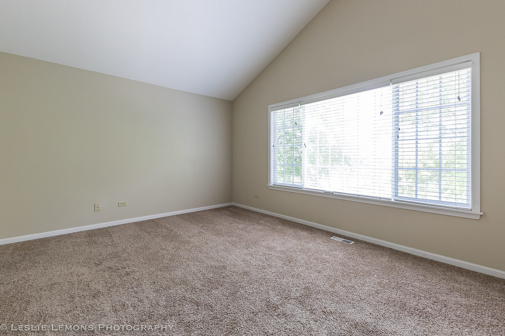 956 Pin Oak Circle Cary, IL 60013 - Photo 26 of 31 an empty room with a window