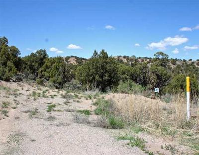 223 Chaparral Ranch Road Gypsum, CO 81637 - Photo 3 of 20 Additional Photo