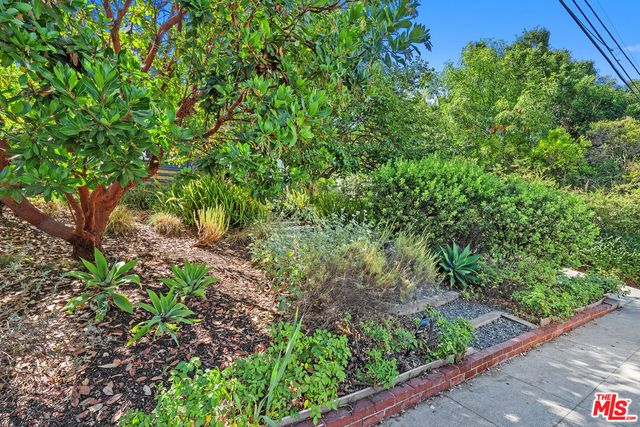 a view of a garden with plants