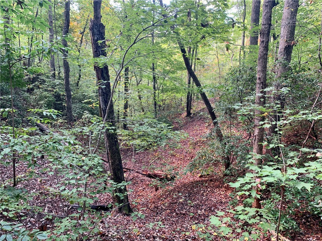 191 Duncan Road Six Mile, SC 29682 - Photo 18 of 27 Gallery Image 18