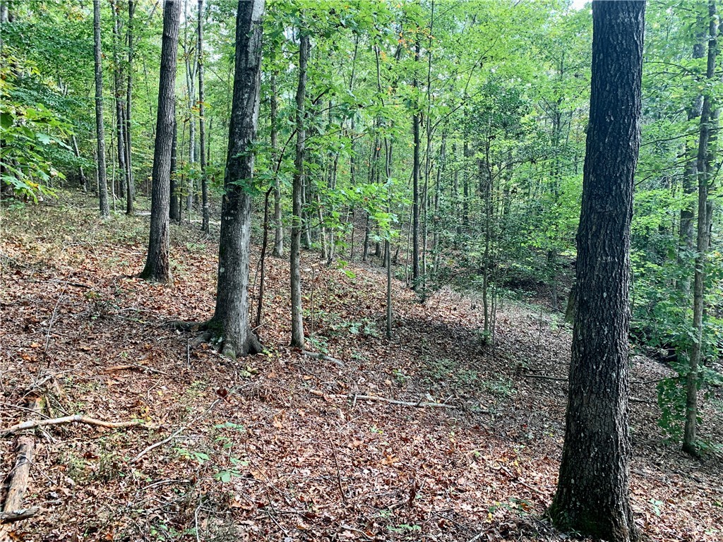191 Duncan Road Six Mile, SC 29682 - Photo 20 of 27 Gallery Image 20