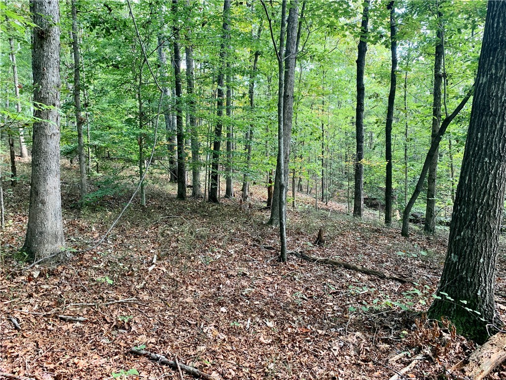 191 Duncan Road Six Mile, SC 29682 - Photo 22 of 27 Gallery Image 22