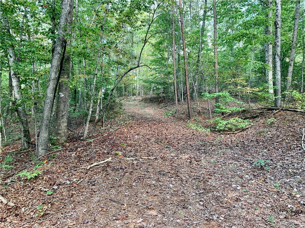 191 Duncan Road Six Mile, SC 29682 - Photo 23 of 27 Gallery Image 23