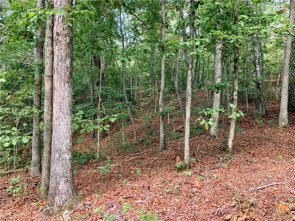 191 Duncan Road Six Mile, SC 29682 - Photo 24 of 27 Gallery Image 24