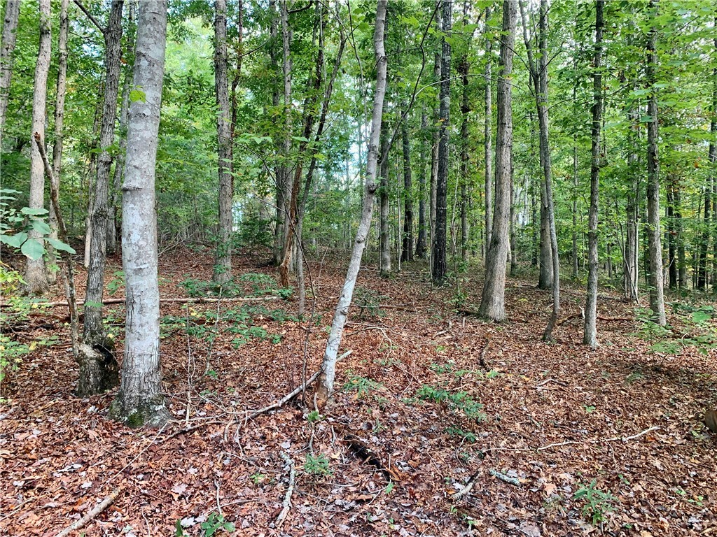 191 Duncan Road Six Mile, SC 29682 - Photo 25 of 27 Gallery Image 25