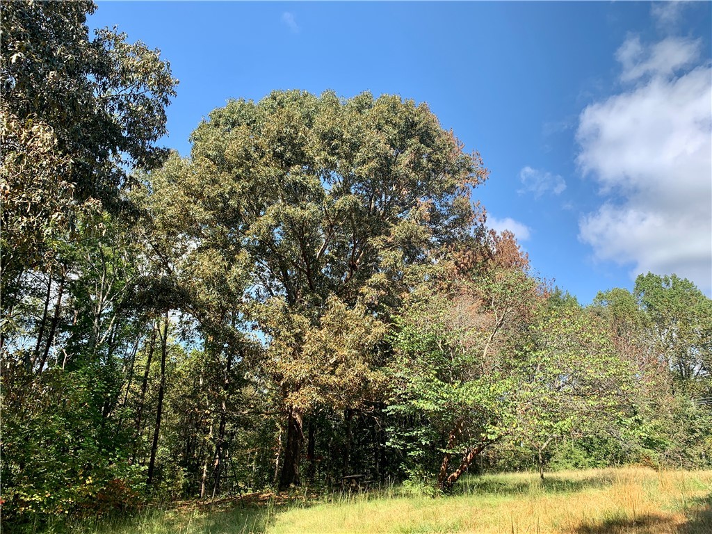 191 Duncan Road Six Mile, SC 29682 - Photo 4 of 27 Gallery Image 4