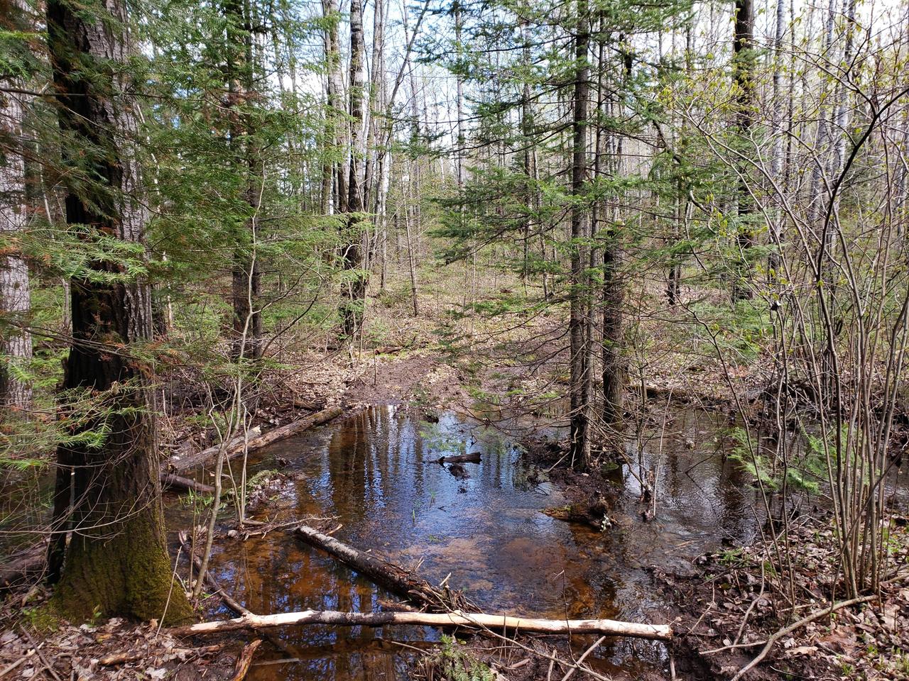 End Of Sanctuary Road Tomahawk, WI 54487 - Photo 11 of 14 Gallery Image 11