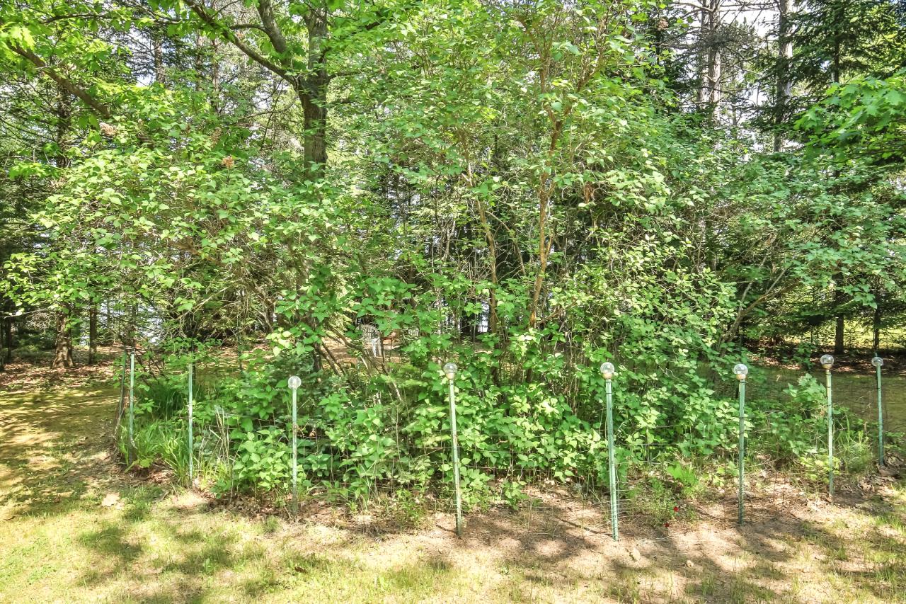 5707 North Jennie Webber Lake Road Rhinelander, WI 54501 - Photo 20 of 46 Gallery Image 20