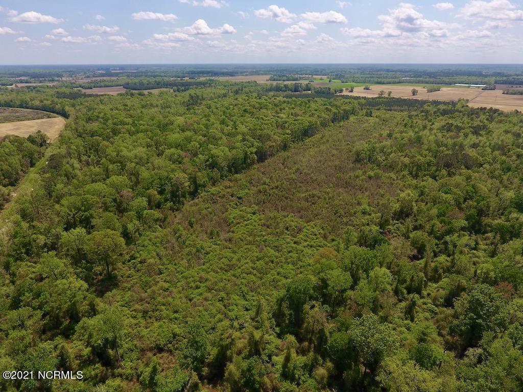 0 Lewis Haddock Road Grifton, NC 28530 - Photo 11 of 29 13