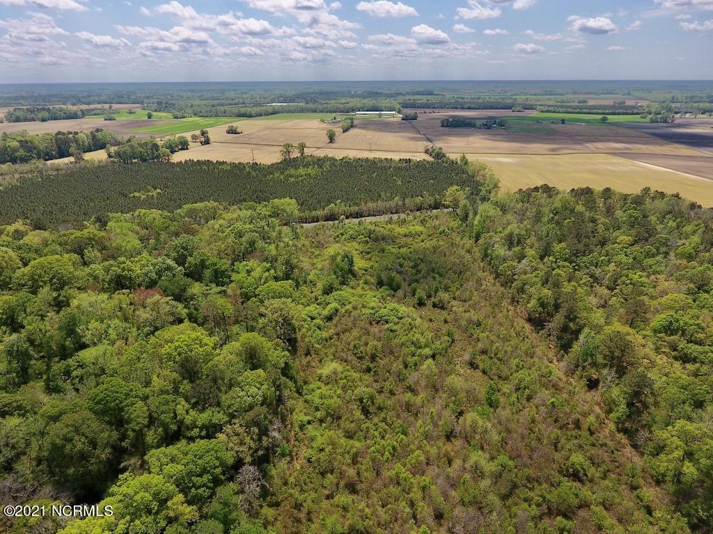 0 Lewis Haddock Road Grifton, NC 28530 - Photo 18 of 29 21