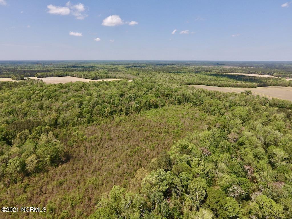 0 Lewis Haddock Road Grifton, NC 28530 - Photo 28 of 29 32