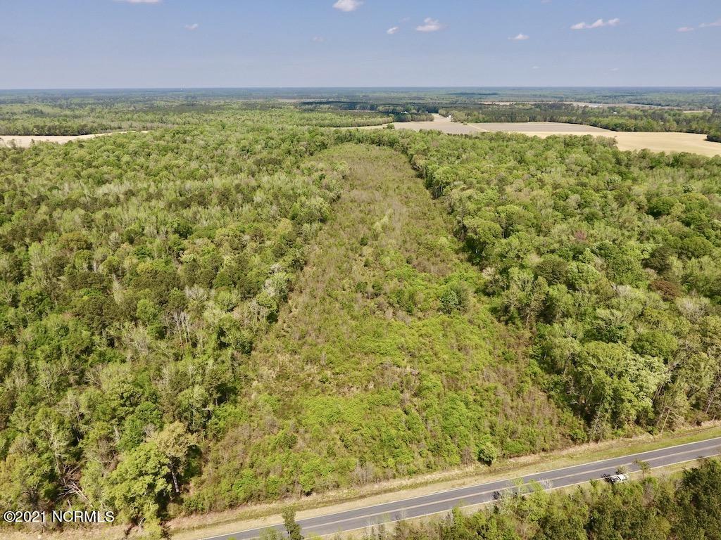 0 Lewis Haddock Road Grifton, NC 28530 - Photo 3 of 29 3