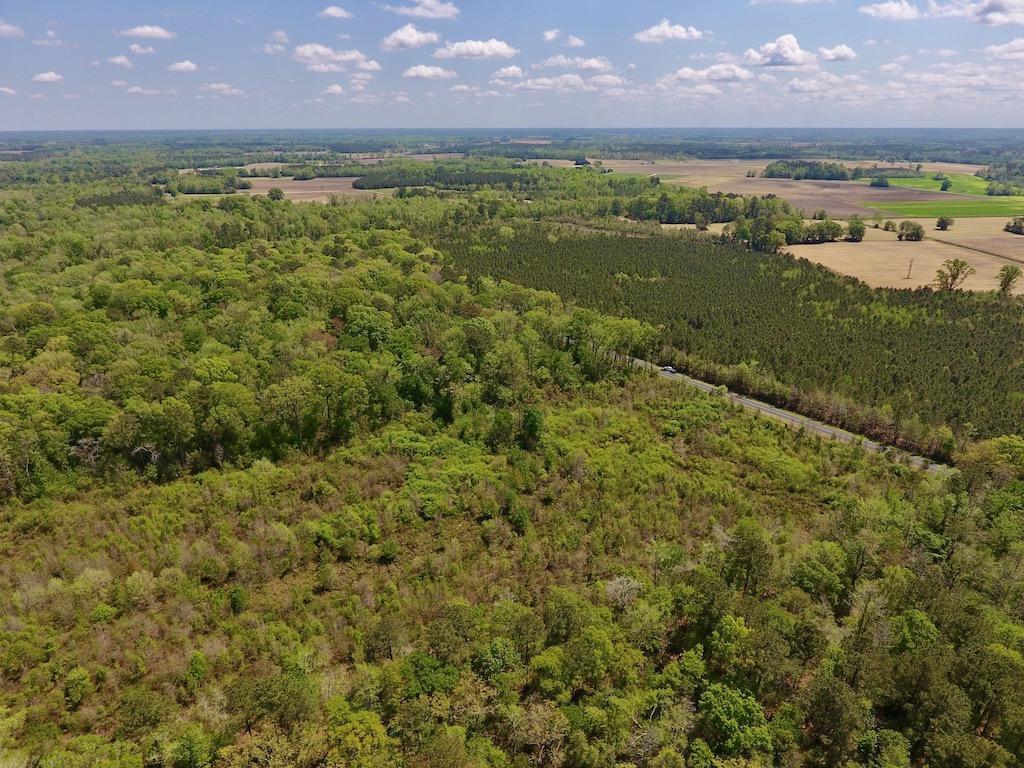 0 Lewis Haddock Road Grifton, NC 28530 - Photo 6 of 29 7