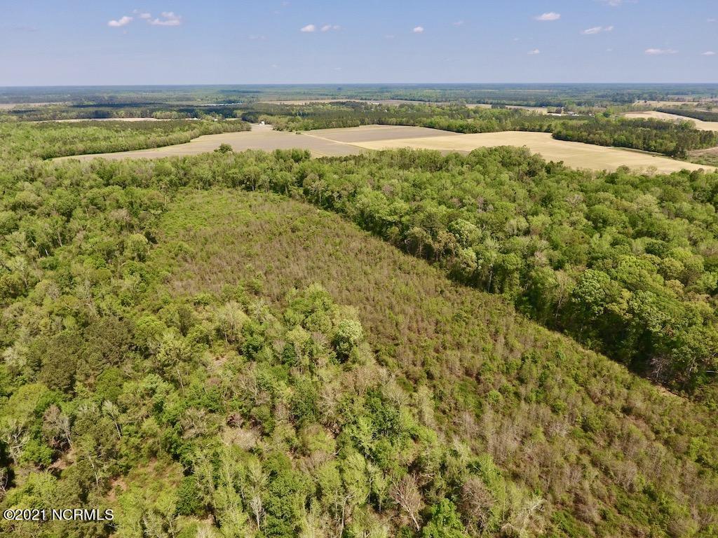0 Lewis Haddock Road Grifton, NC 28530 - Photo 7 of 29 9