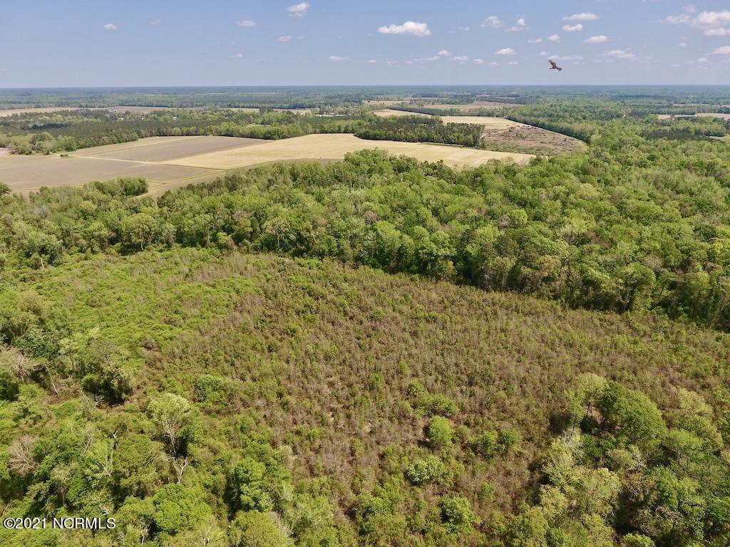 0 Lewis Haddock Road Grifton, NC 28530 - Photo 8 of 29 10