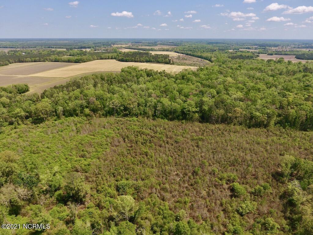 0 Lewis Haddock Road Grifton, NC 28530 - Photo 9 of 29 11