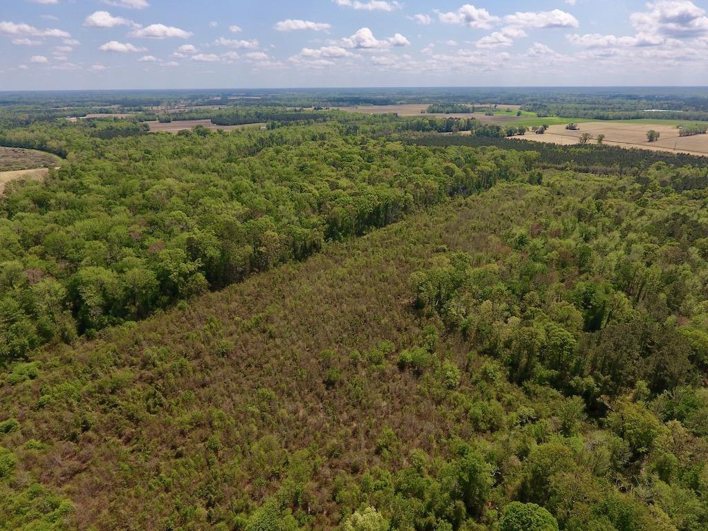 0 Lewis Haddock Road Grifton, NC 28530 - Photo 10 of 29 12