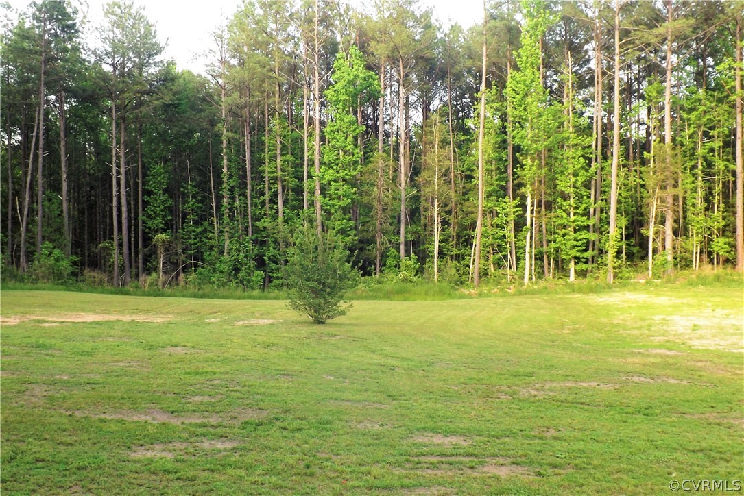 6401 Moseley Road Moseley, VA 23120 - Photo 30 of 34 Five Private Acres With Two Acres Cleared