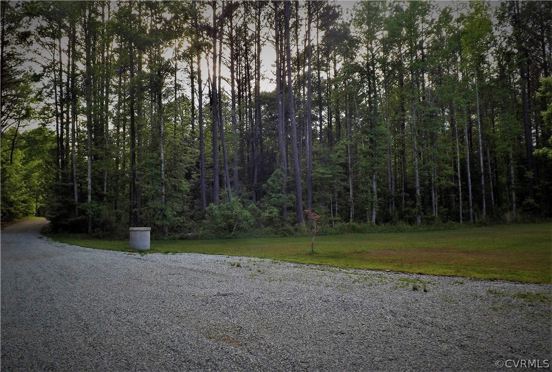 6401 Moseley Road Moseley, VA 23120 - Photo 33 of 34 Driveway Going to Moseley Rd. Treed Privacy On All Four Sides of Lot