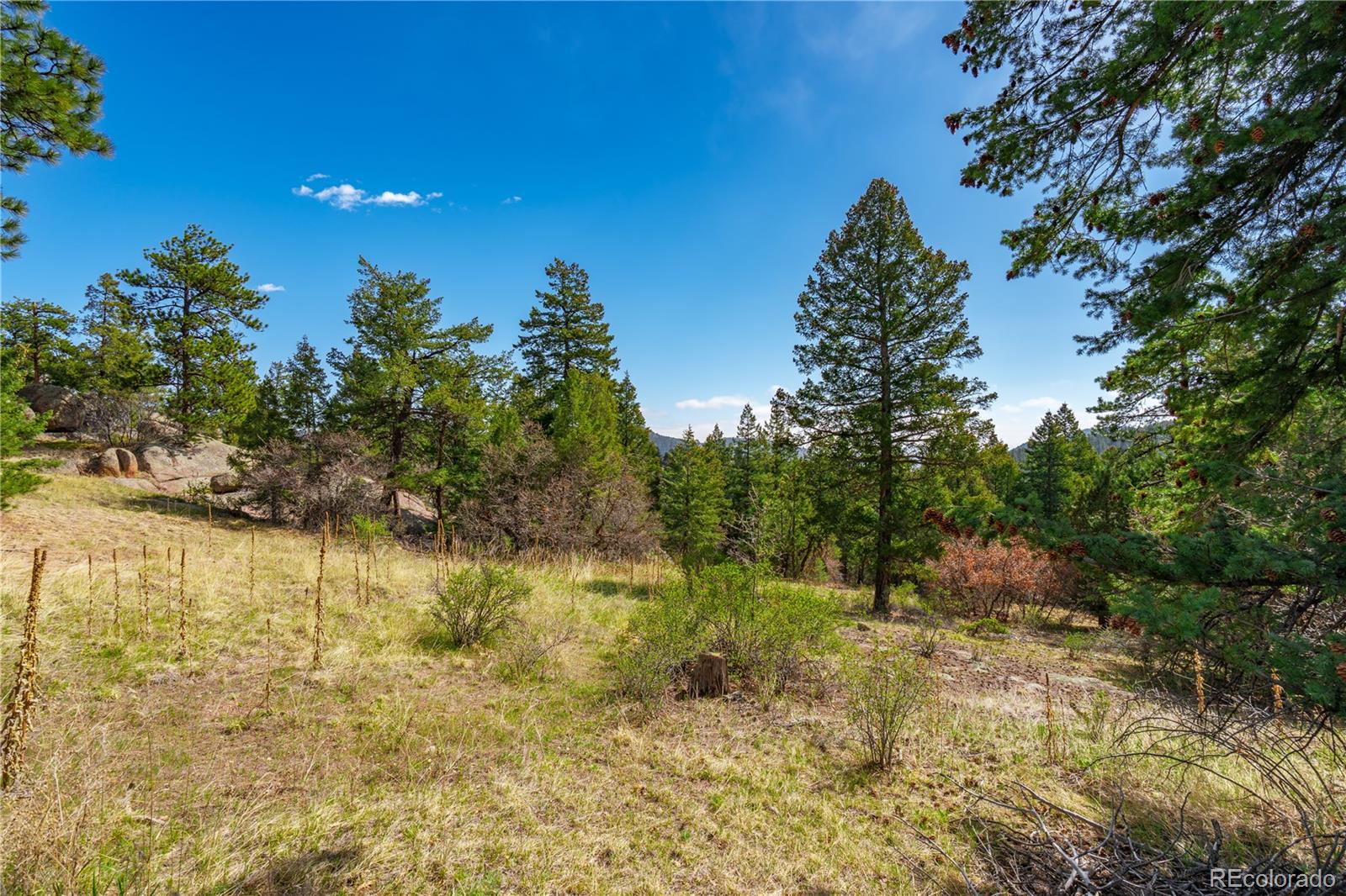 22668 Shawnee Road Indian Hills, CO 80454 - Photo 4 of 21 a view of lake view