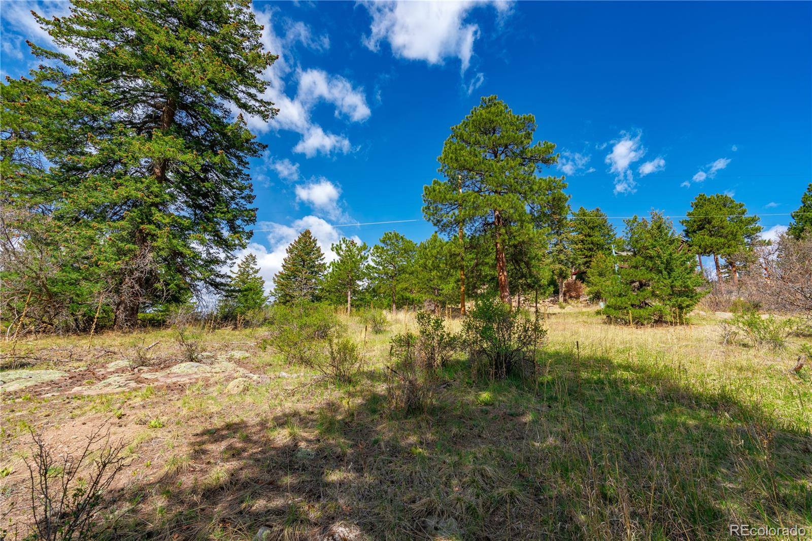 22668 Shawnee Road Indian Hills, CO 80454 - Photo 5 of 21 a backyard of a house with lots of green space and garden
