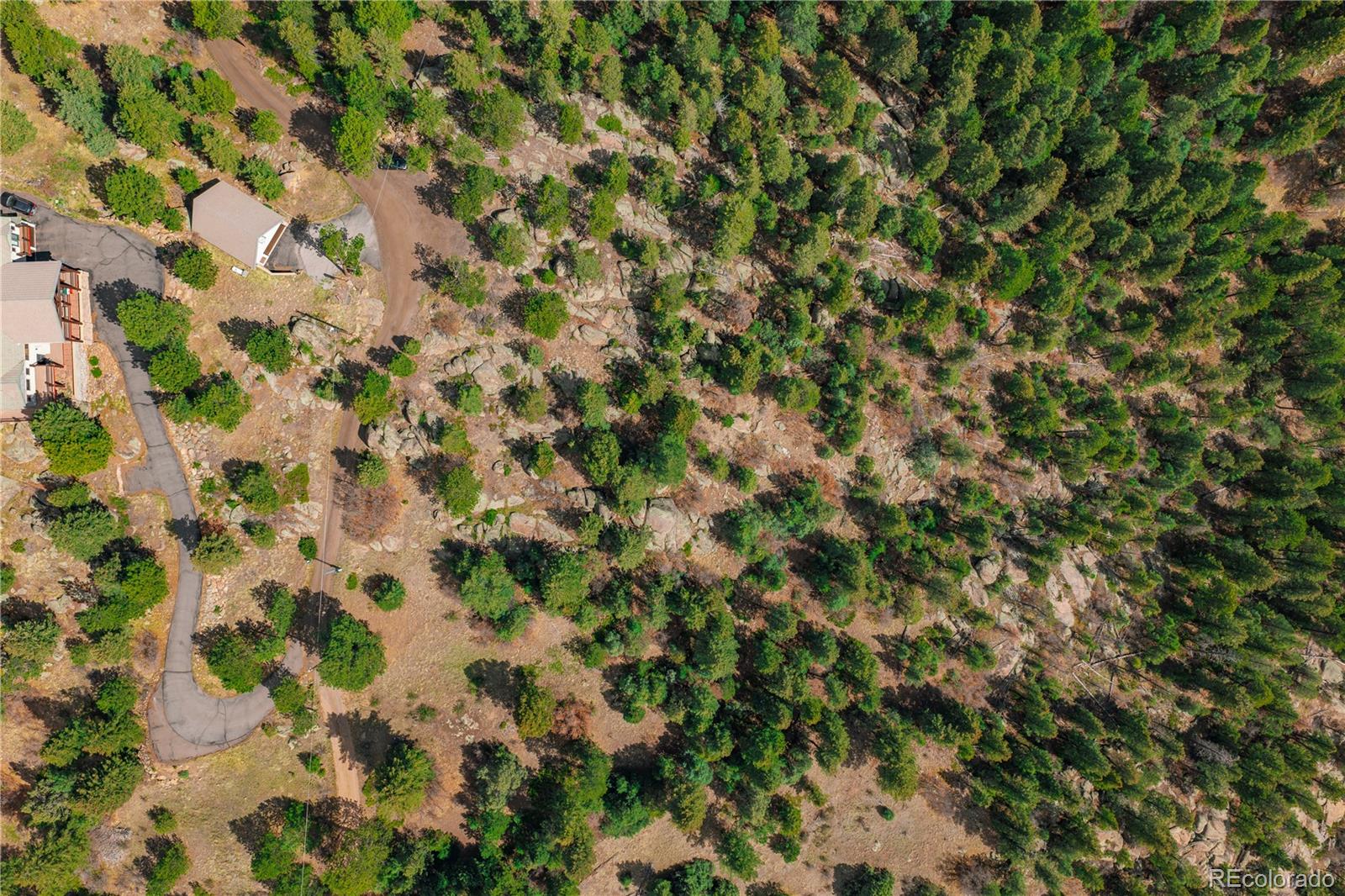 22668 Shawnee Road Indian Hills, CO 80454 - Photo 10 of 21 a view of a tree