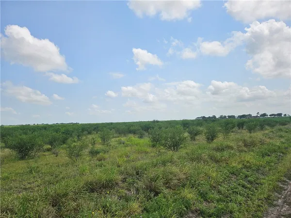 a view of a big yard with lots of green space