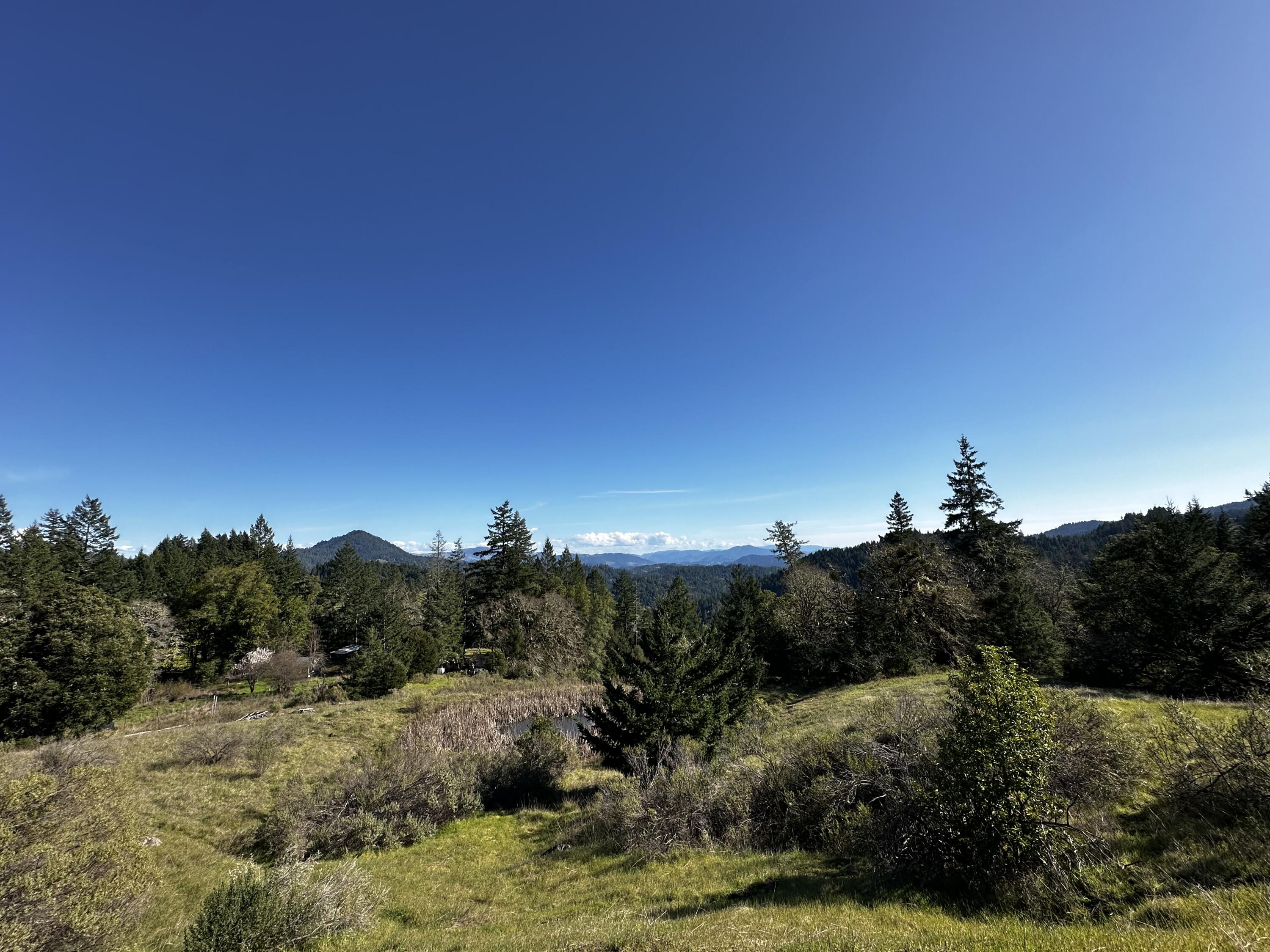 4300 Thomas Road Miranda, CA 95553 - Photo 51 of 59 a view of a dry yard with mountains in the background
