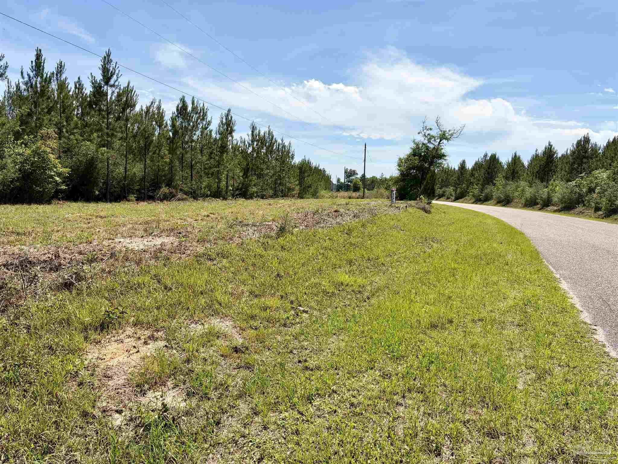0 Mineral Springs Road Jay, FL 32565 - Photo 10 of 15
