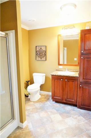 687 Hayes Ridge Road Indian Mound, TN 37079 - Photo 5 of 14 first full bathroom in master