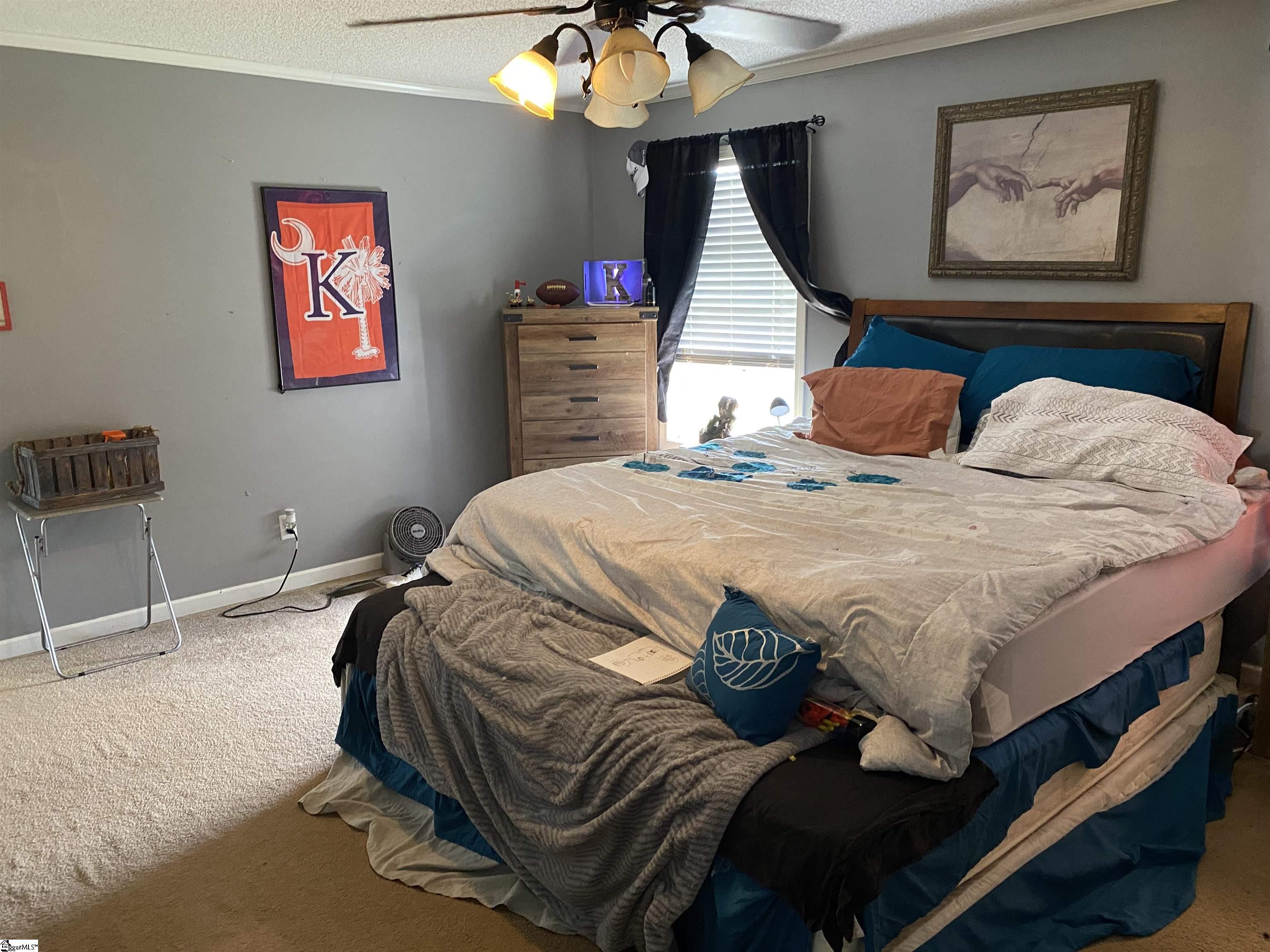 271 State Rd S-42-622 Greer, SC 29651 - Photo 6 of 9