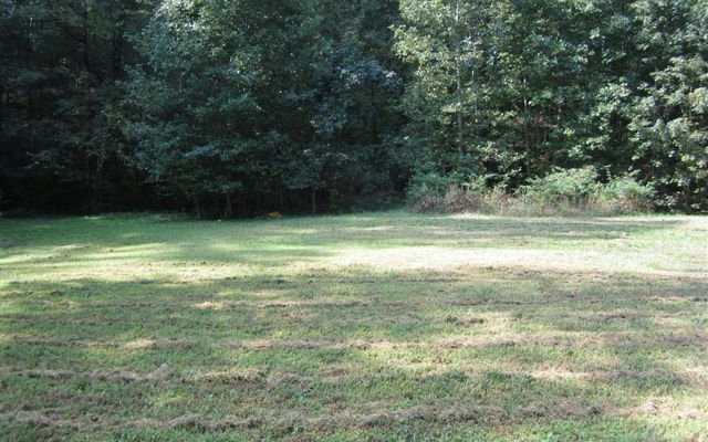 170 Embassy Way Ellijay, GA 30540 - Photo 1 of 1 Main View