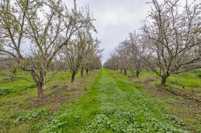 $8,800,000 | 1941 Dietz Road, Earlimart, CA 93219