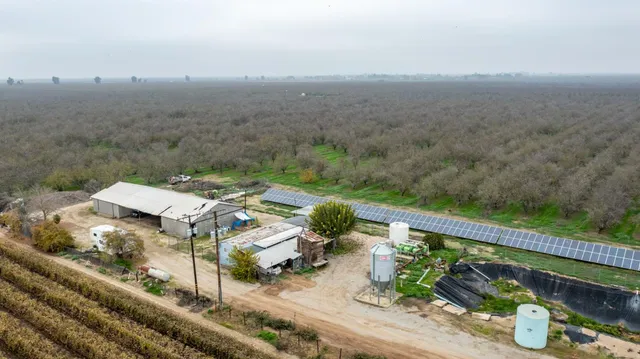 a view of a yard with an ocean