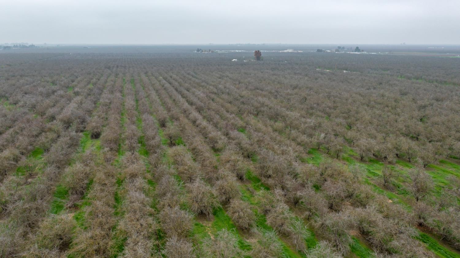 1941 Dietz Road Earlimart, CA 93219 - Photo 2 of 22 a view of outdoor space and space