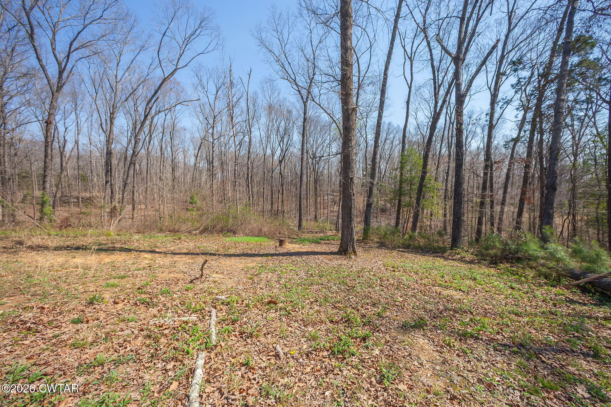 80 Peddy Vestal Loop Henderson, TN 38340 - Photo 25 of 25 Completed-25