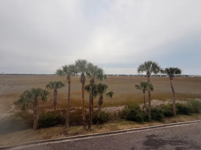 $455,000 | 133 Marsh View, Charleston, SC 29412