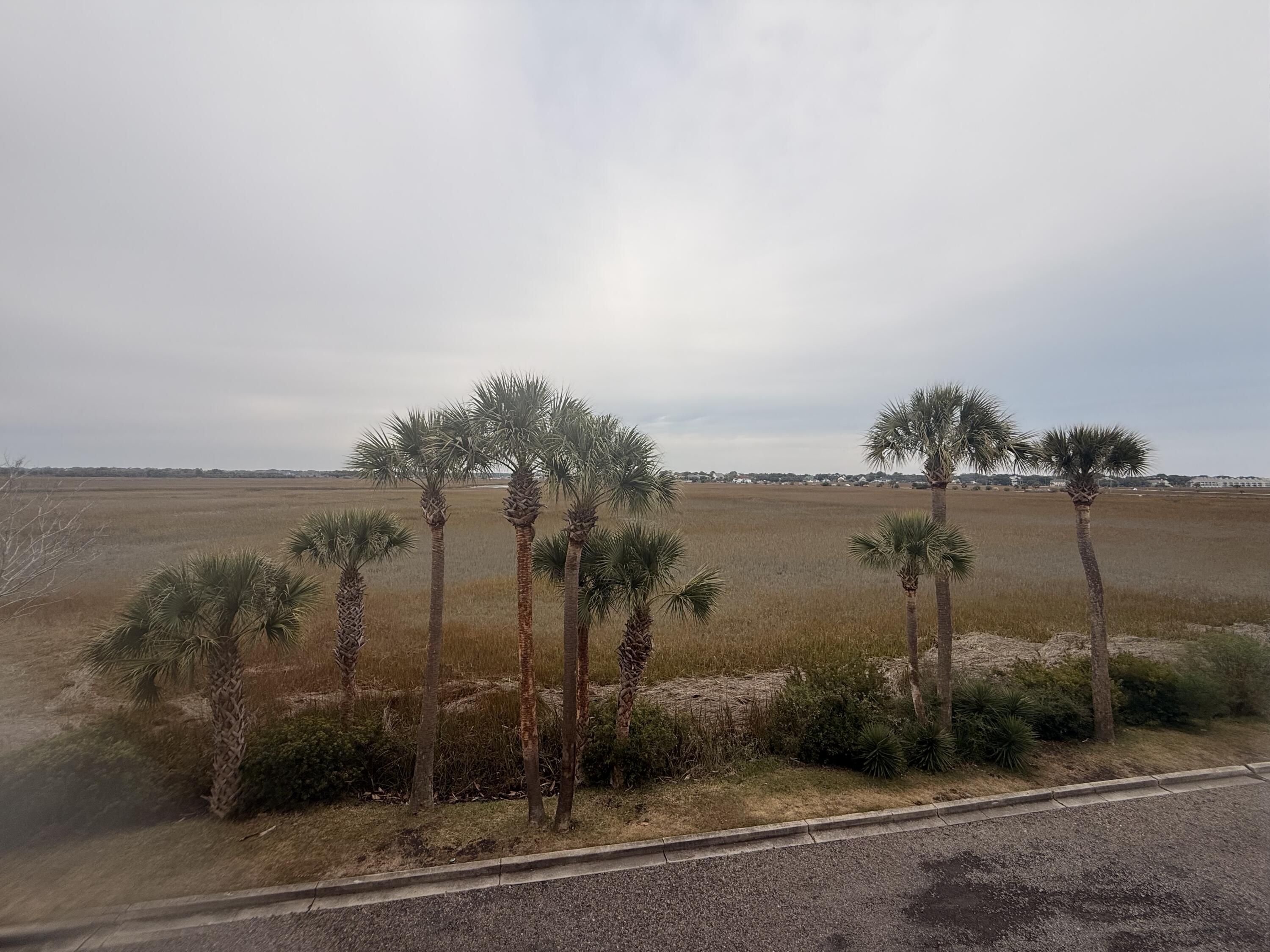 133 Marsh View Charleston, SC 29412 - Photo 12 of 19 IMG_5724