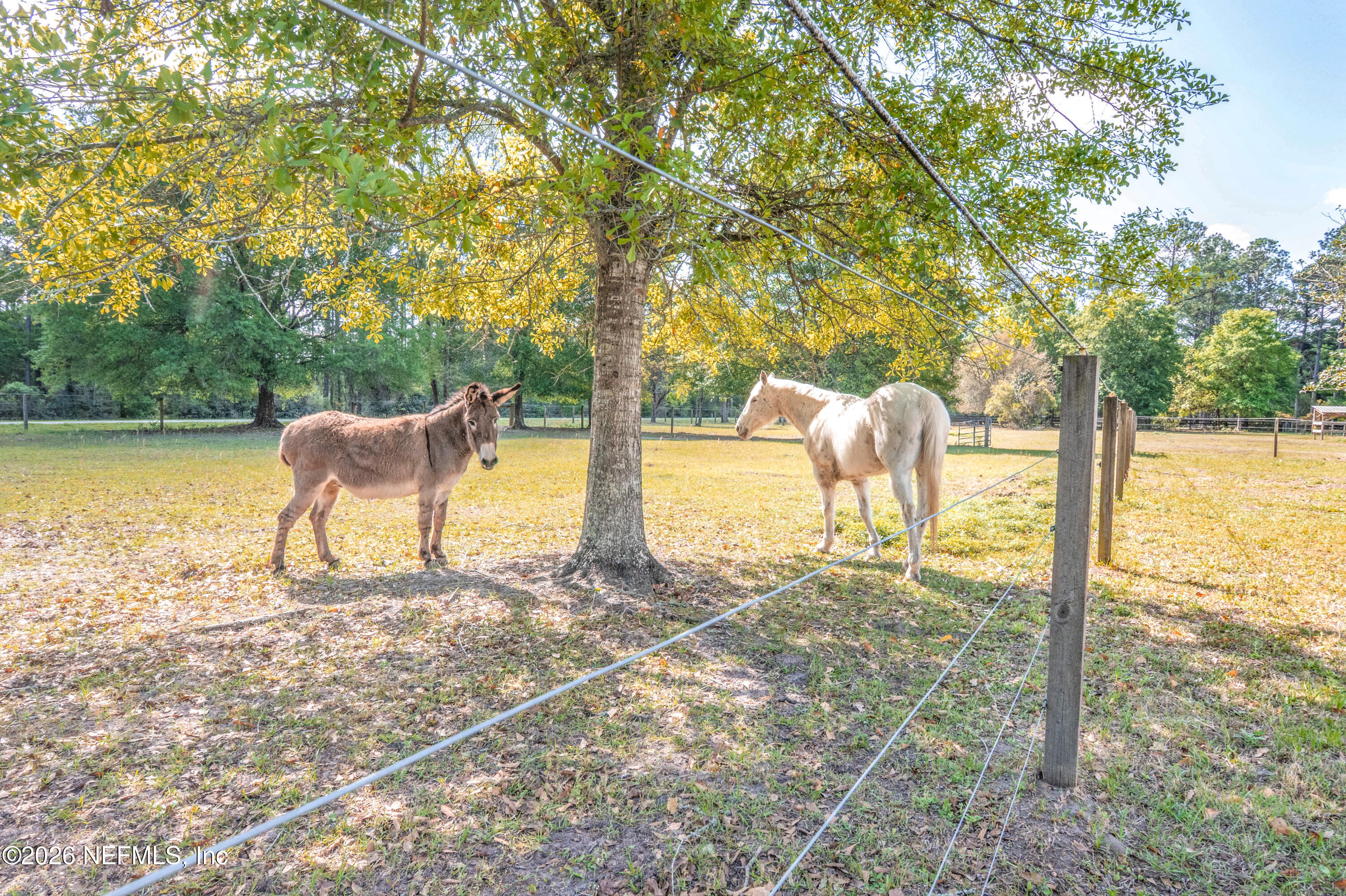 7518 Glynn Allyn Road Macclenny, FL 32063 - Photo 12 of 117 ab