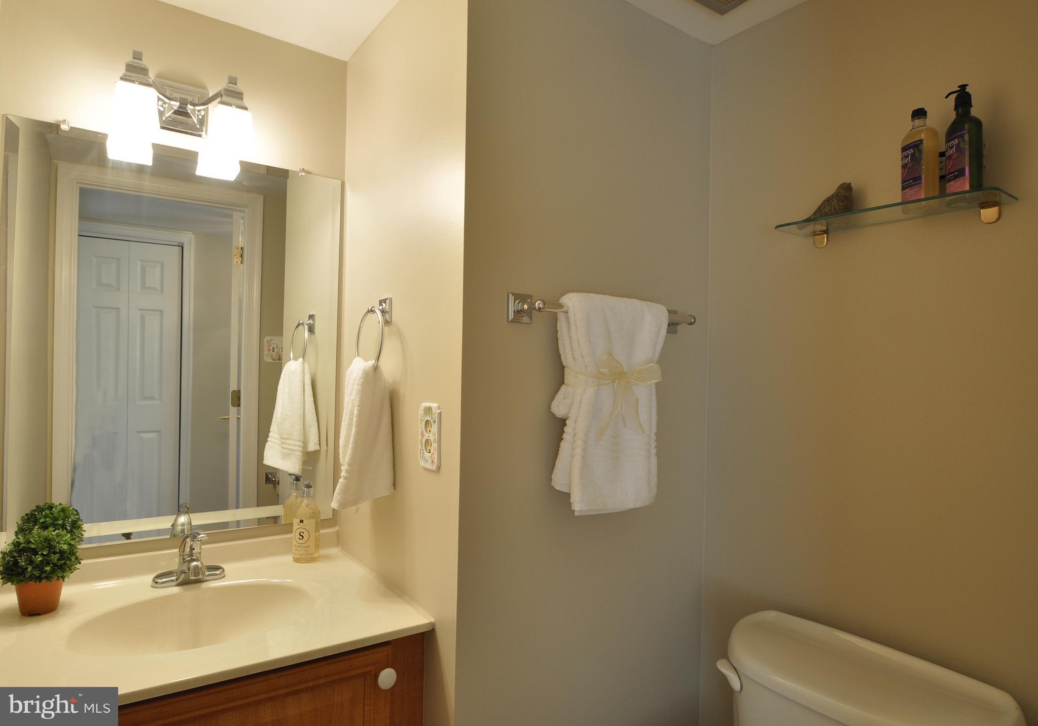 6917 Raspberry Plain Place Springfield, VA 22153 - Photo 12 of 28 Power bath on main level