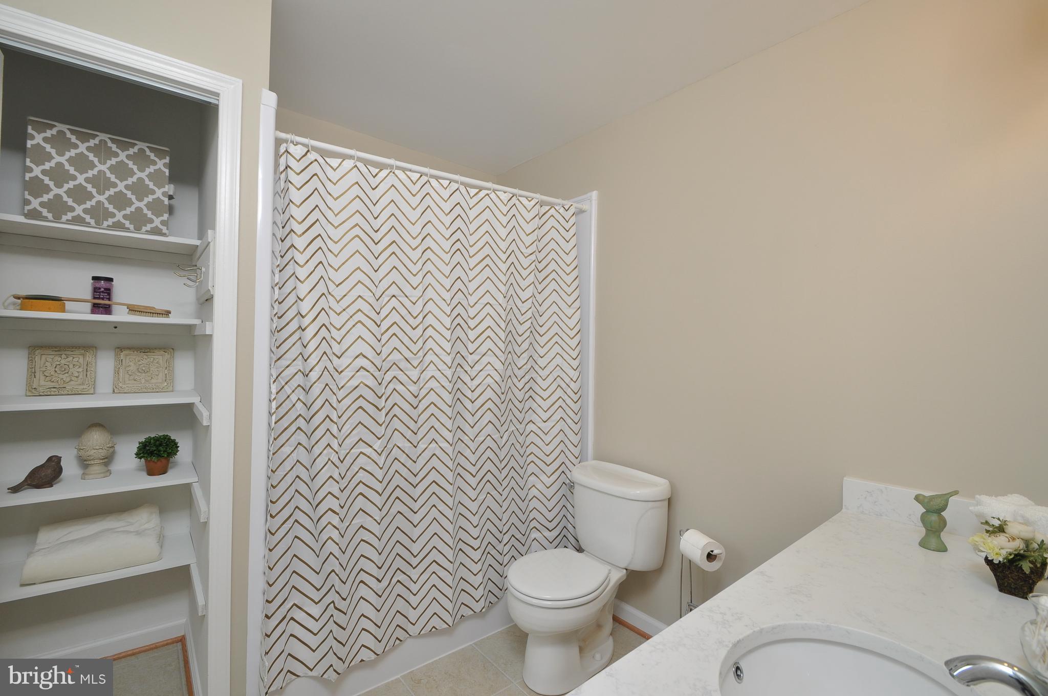 6917 Raspberry Plain Place Springfield, VA 22153 - Photo 18 of 28 Master bath with brand new granite and tub