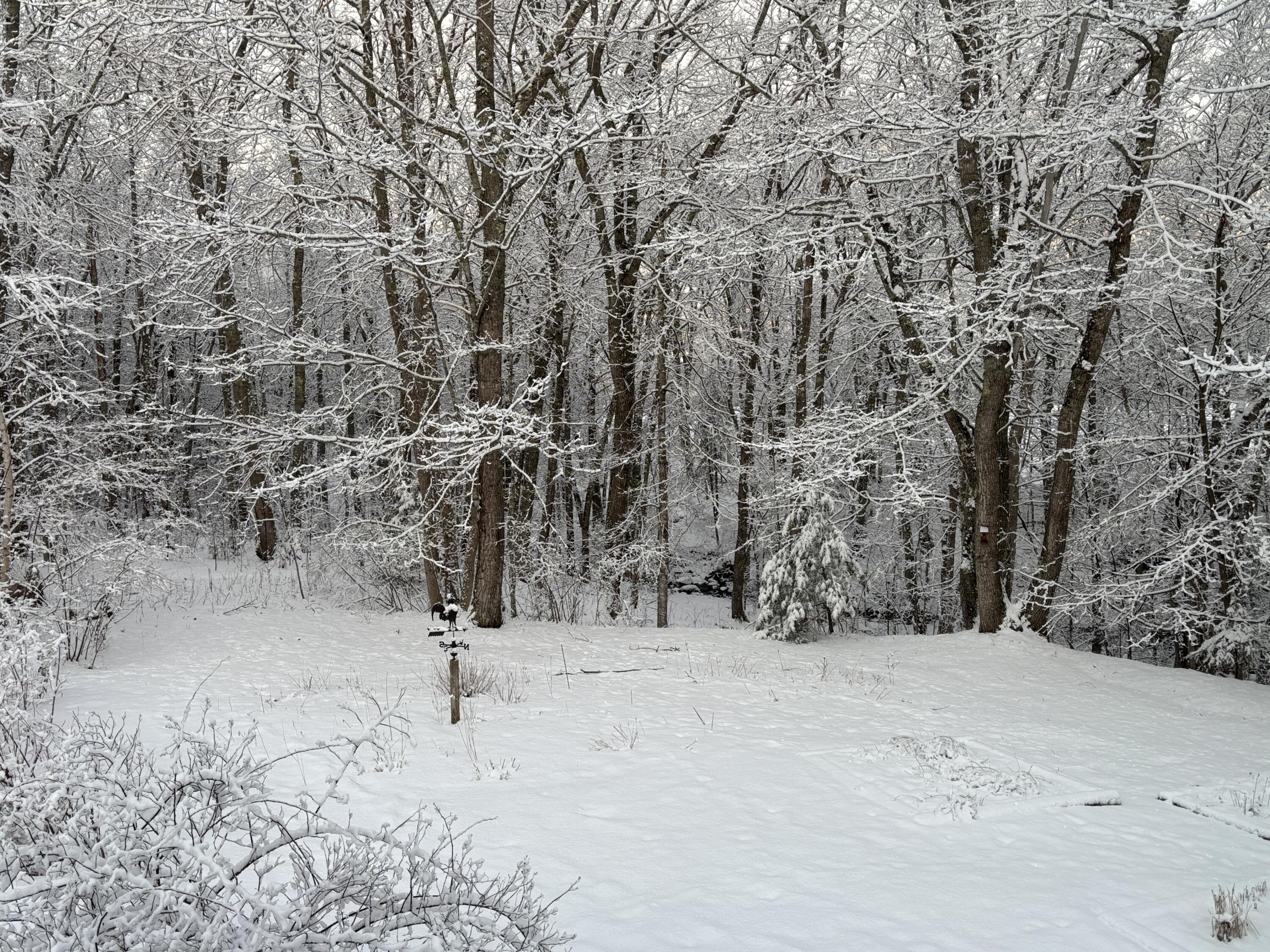 5 Morrison Road Round Pond, ME 04564 - Photo 41 of 46 Winter