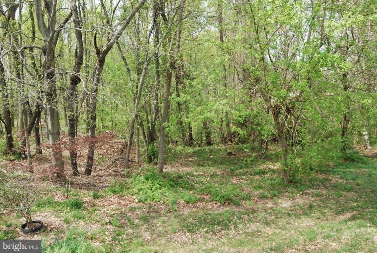 1162 Bacon Ridge Road Crownsville, MD 21032 - Photo 15 of 30 Wooded View / Acreage 3