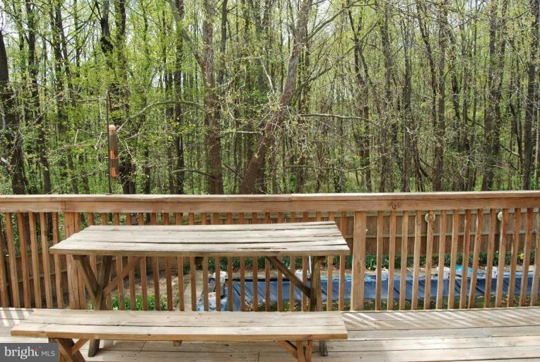 Deck - View from