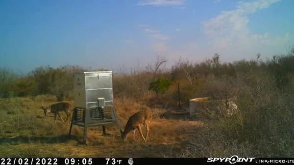 a view of table and chair