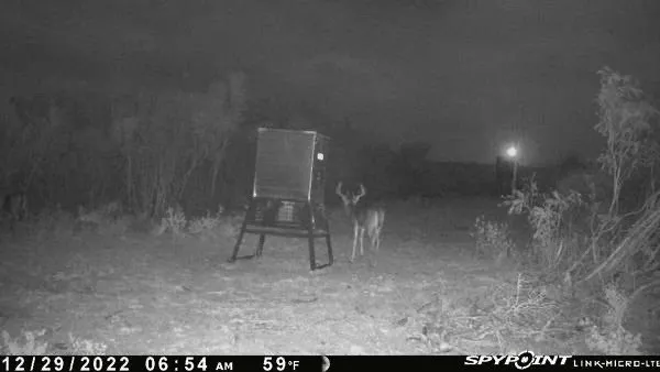 $265,000 | Tr 47-tr 48 Frontier Land Co Subd, Freer, TX 78357