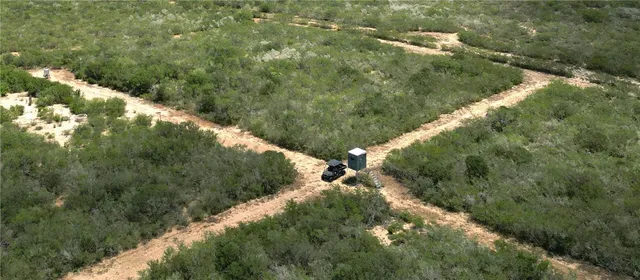 a view of a forest with a forest