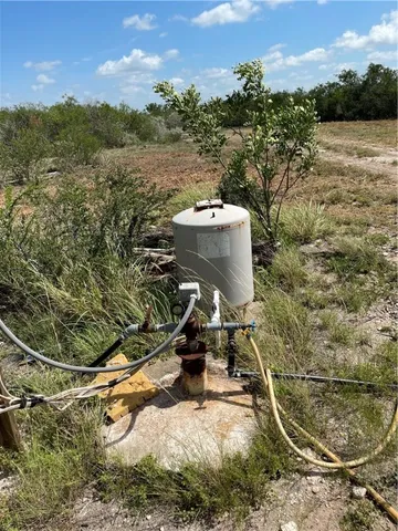 a front view of a house with plants