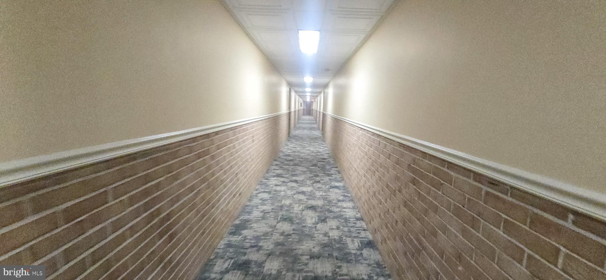 5111 8th Road South, Unit 2 Arlington, VA 22204 - Photo 6 of 17